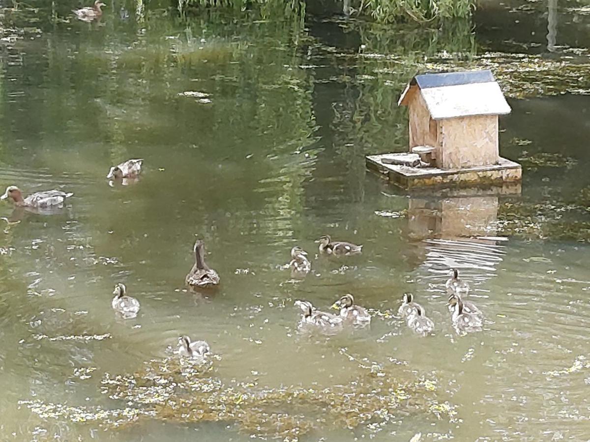Montmartin-en-Graignes Le Bonheur Des Plumes Bed & Breakfast エクステリア 写真